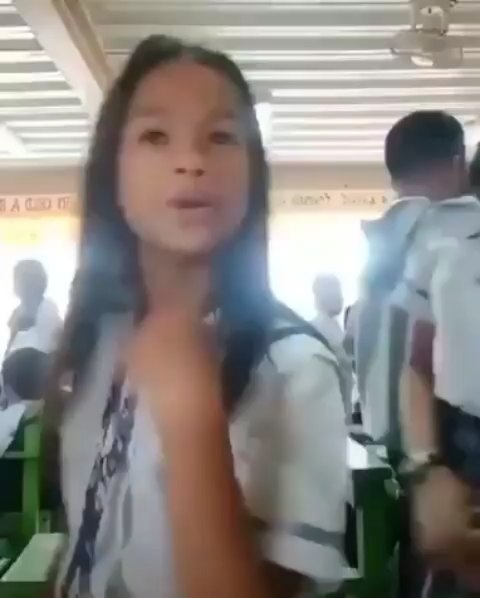 Baby cats at Cats Luv Us