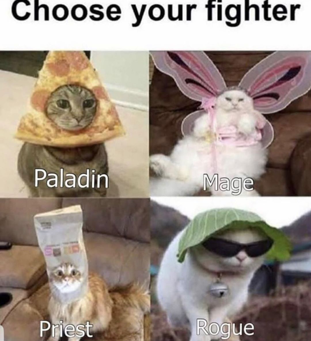 Cat youtube at Cats Luv Us