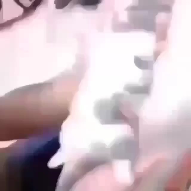 Cat tiktok at Cats Luv Us