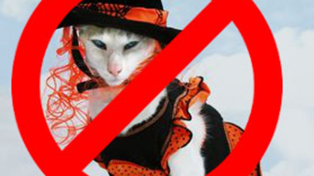 5 Reliable Cat Vacation Care Options Near You: Ensuring Your Feline’s Comfort While You're Away