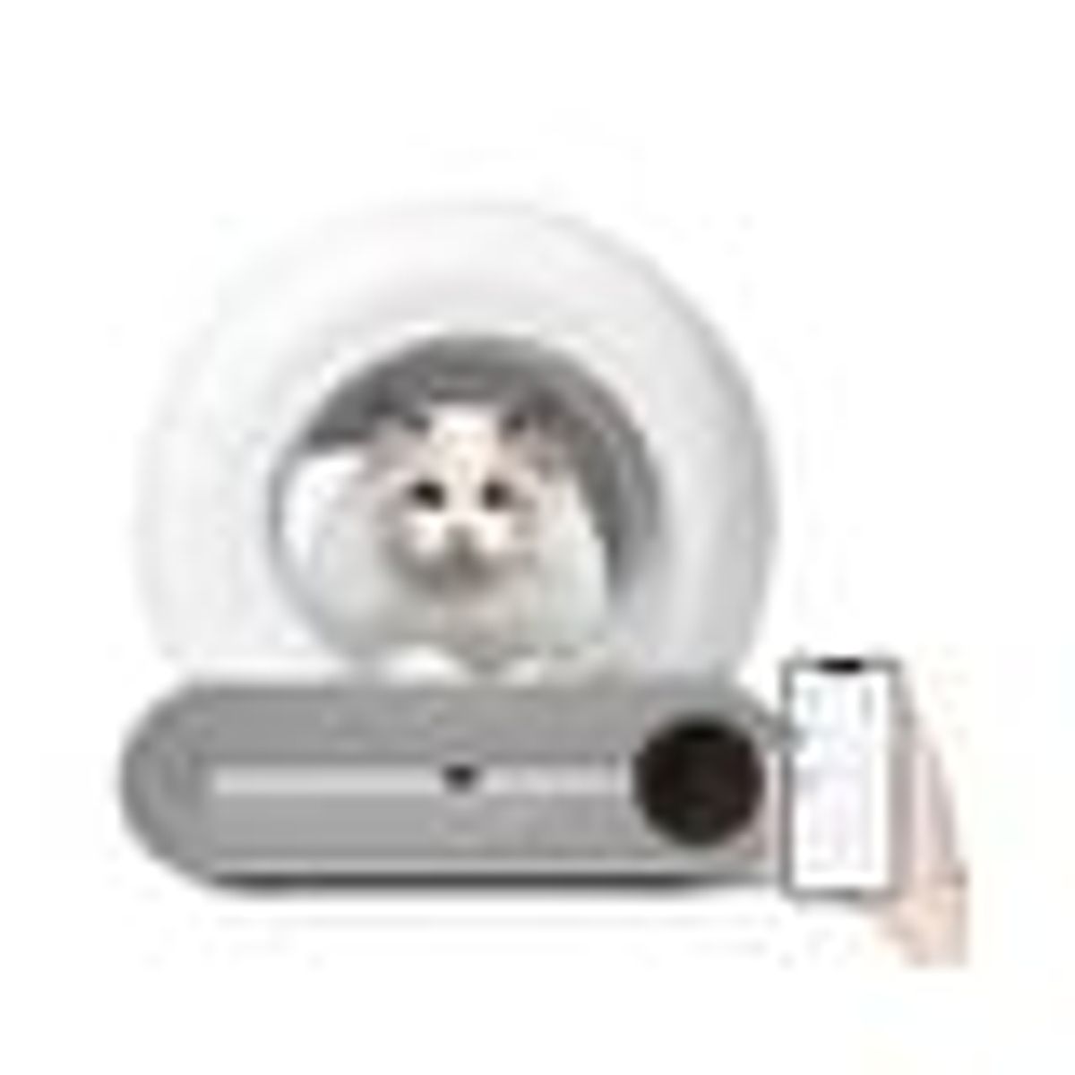 5 Best Cat Cleaners & Waste Disposal Systems for Hassle-Free Hygiene