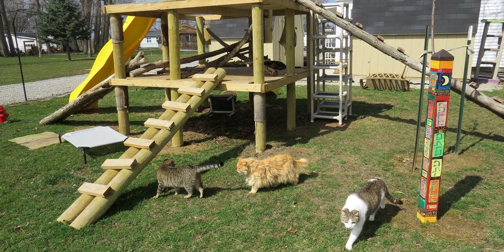 cat boarding facility