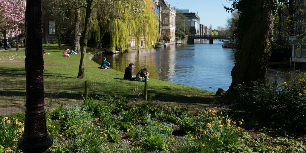 people are sitting on the grass by the water