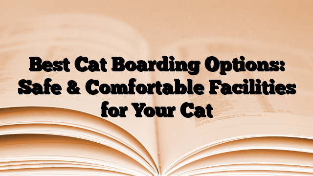 Best Cat Boarding Options: Safe & Comfortable Facilities for Your Cat