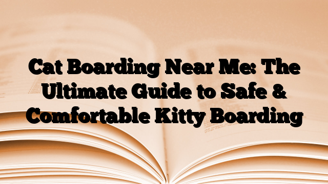 Cat Boarding Near Me: The Ultimate Guide to Safe & Comfortable Kitty Boarding