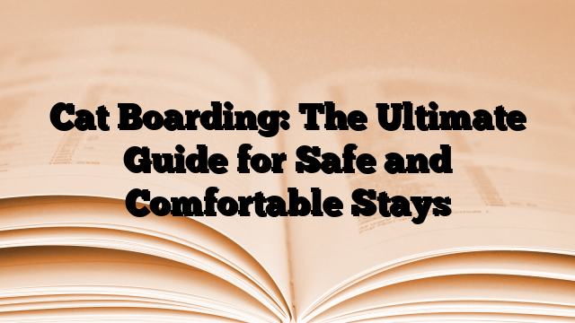 Cat Boarding: The Ultimate Guide for Safe and Comfortable Stays