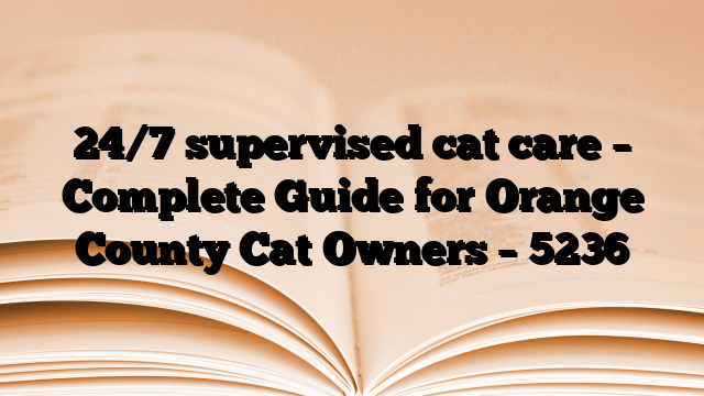 24/7 supervised cat care – Complete Guide for Orange County Cat Owners