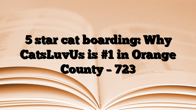 5 star cat boarding: Why CatsLuvUs is #1 in Orange County – 723