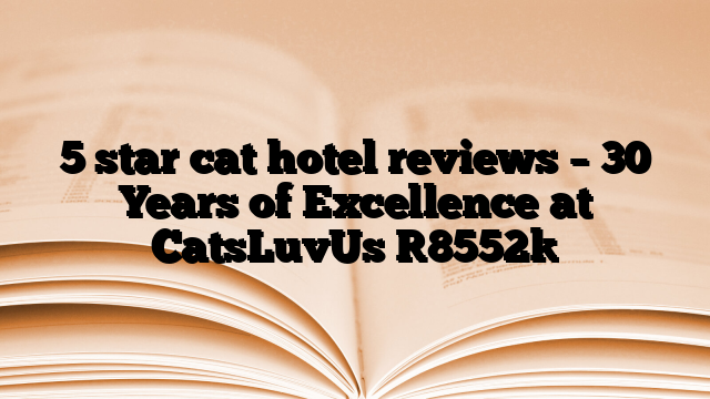 5 star cat hotel reviews – 30 Years of Excellence at CatsLuvUs [8552]