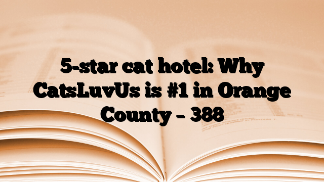 5-star cat hotel: Why CatsLuvUs is #1 in Orange County – 388