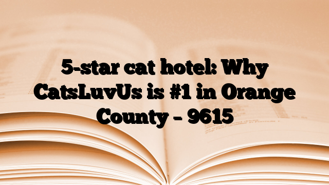 5-star cat hotel: Why CatsLuvUs is #1 in Orange County – 9615