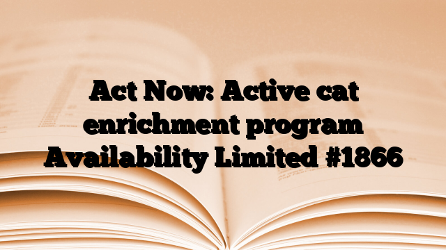 Act Now: Active cat enrichment program Availability Limited #1866