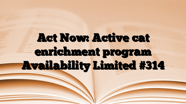 Act Now: Active cat enrichment program Availability Limited #314