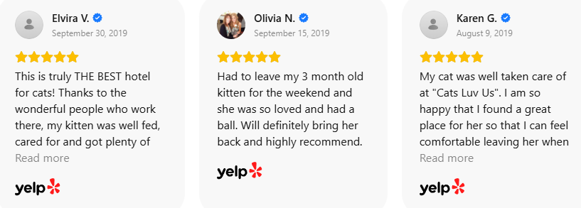 Customer Review 37