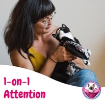 Cat Boarding Photo 15