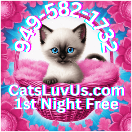shop.catsluvus.com